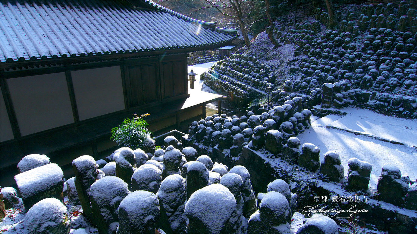 愛宕念仏寺の雪化粧した千二百羅漢 壁紙