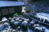 愛宕念仏寺の雪化粧した千二百羅漢