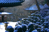 雪化粧した愛宕念仏寺