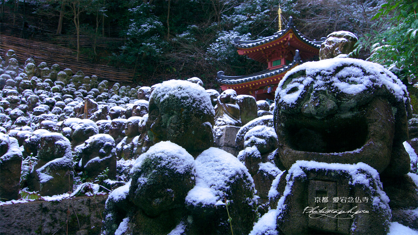雪化粧した羅漢像その参 壁紙