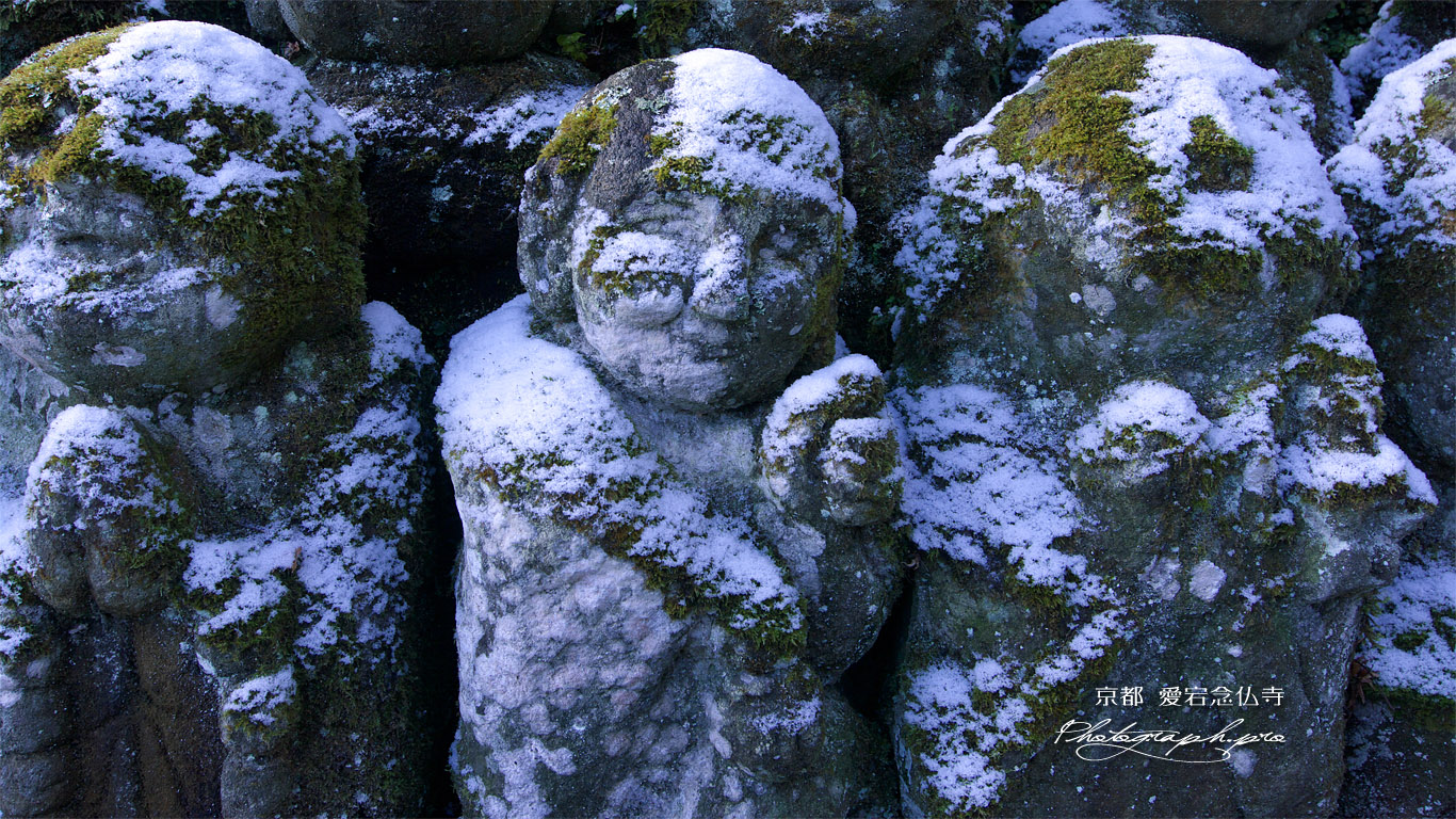 愛宕念仏寺 壁紙