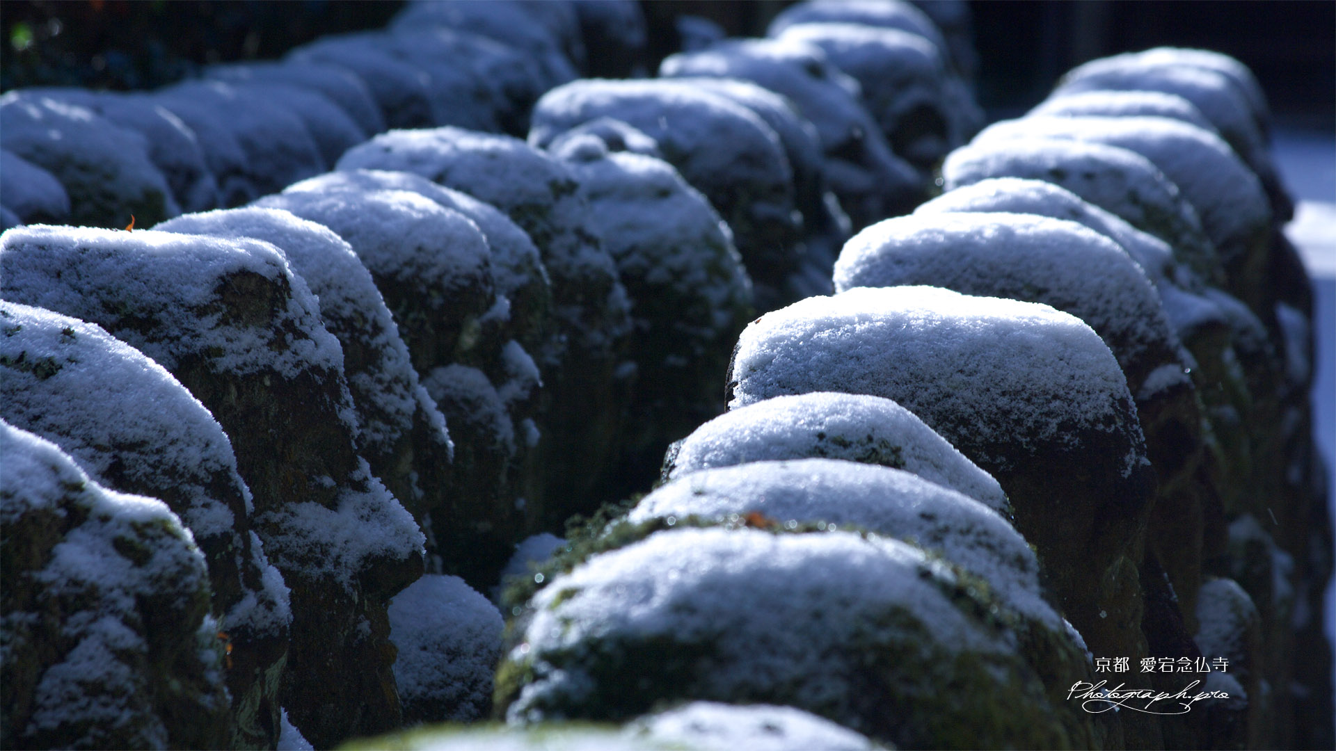 愛宕念仏寺の雪化粧した羅漢像その六
