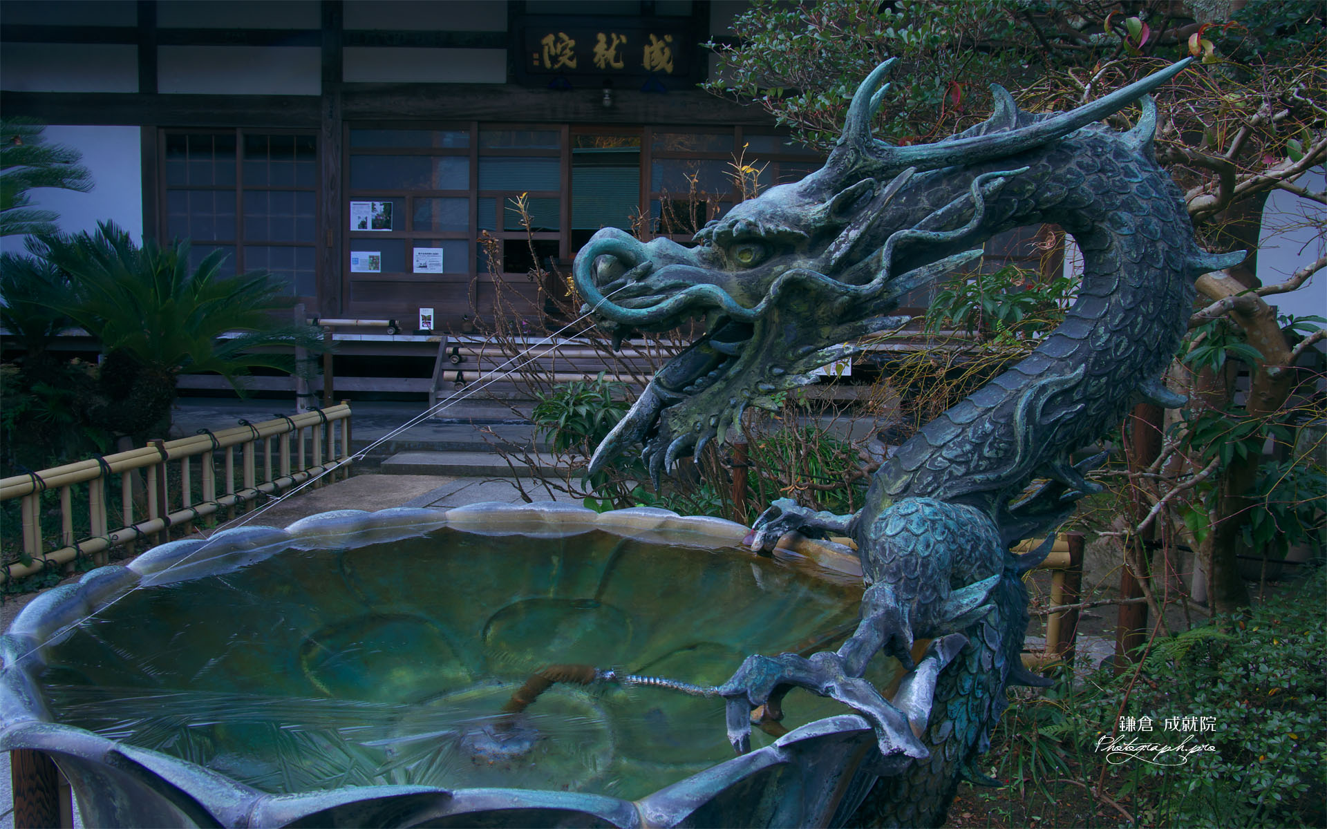 成就院 手水鉢の結氷
