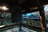 東慶寺 鐘楼越しの白梅