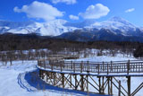 知床五湖木道と知床連山