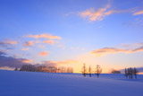 マイルドセブンの丘の雪原