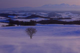 吹雪く千望峠