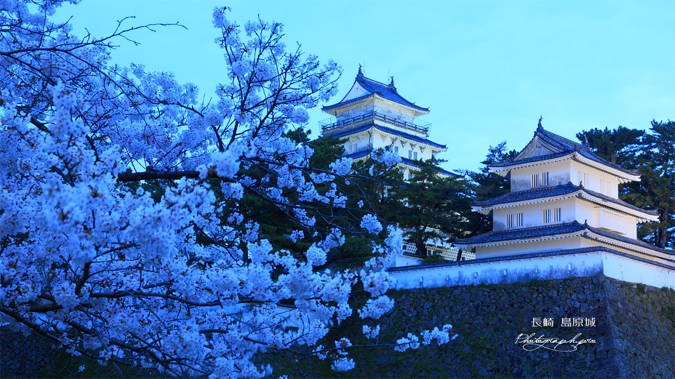 島原城の桜と天守閣 壁紙
