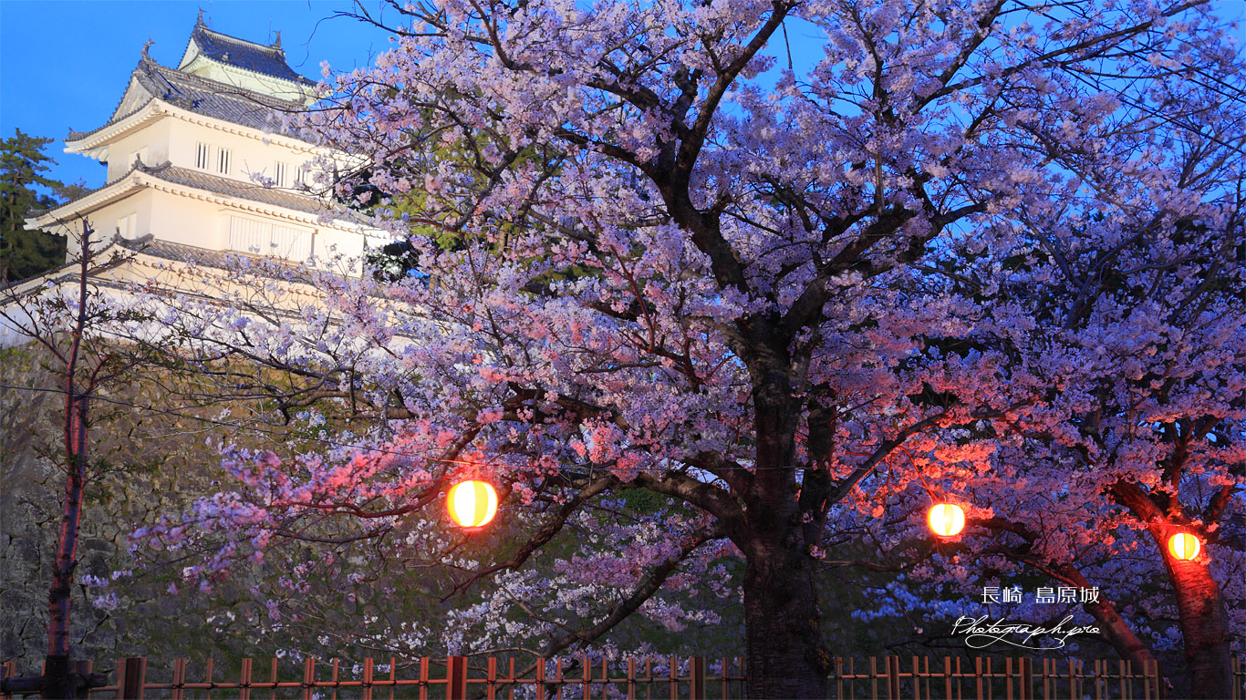 島原城の桜と西の櫓 壁紙