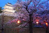 島原城の桜と西の櫓