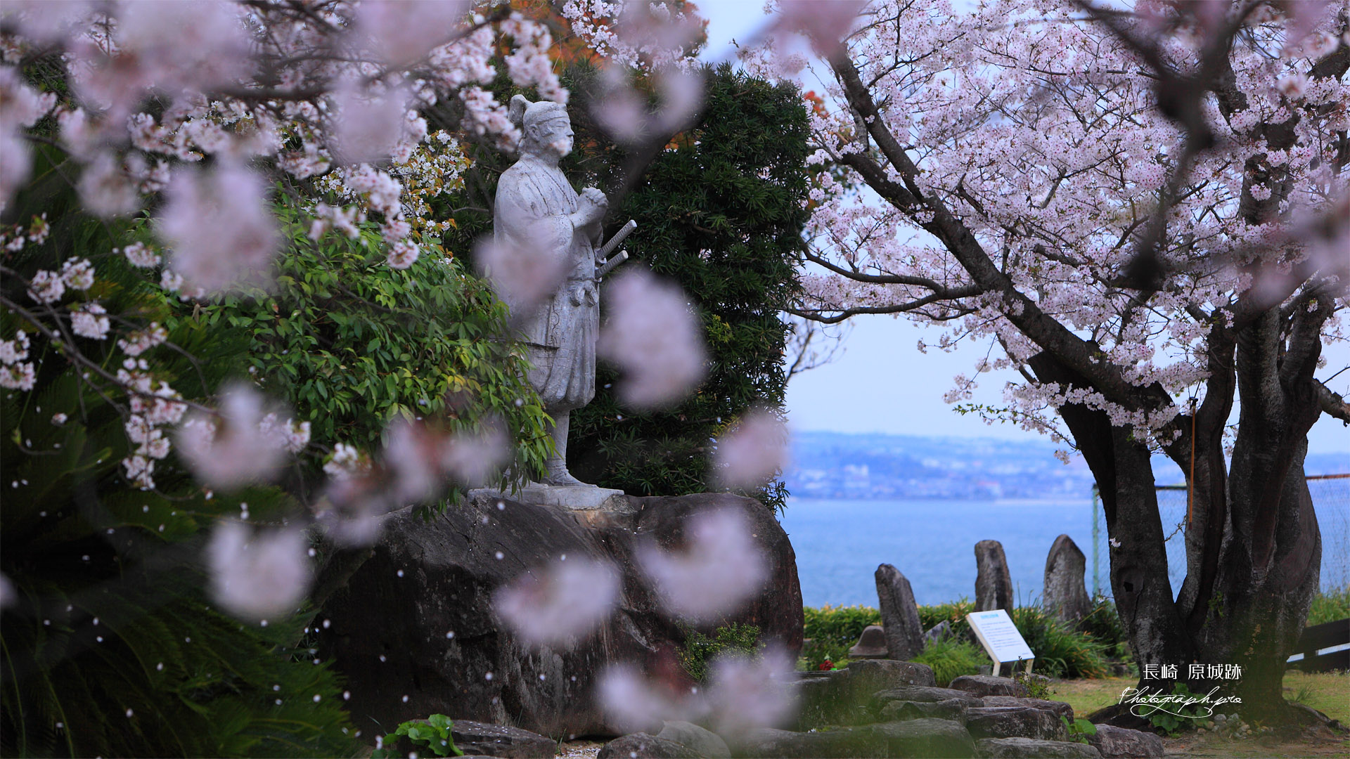 桜散る天草四郎時貞像