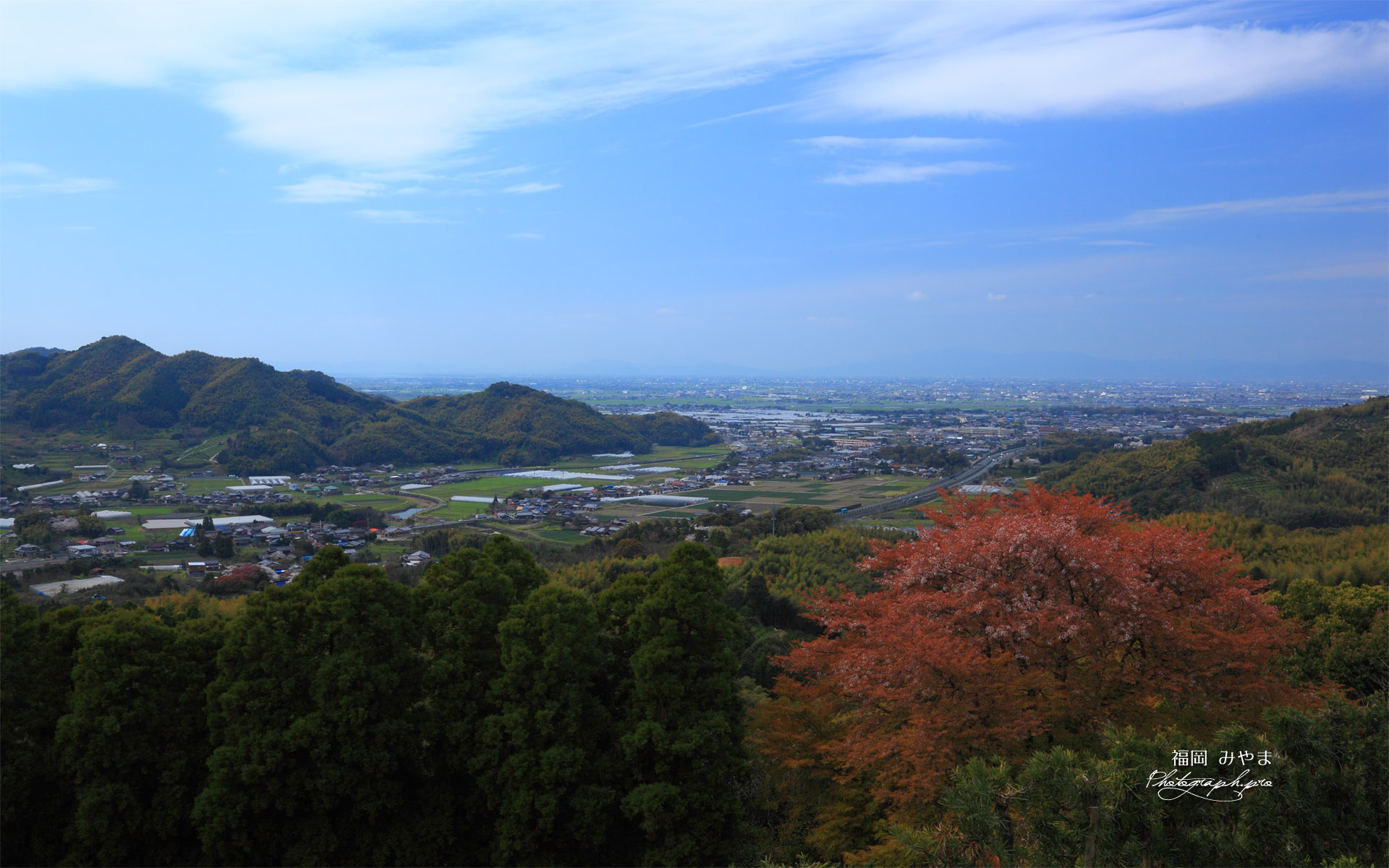 天保古平家一本桜から源平最後の合戦場を見下ろす