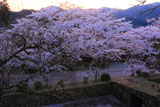 秋月の瓦坂
