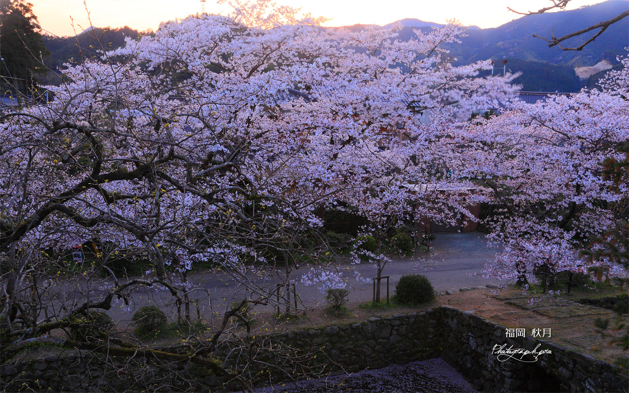 秋月の瓦坂 壁紙