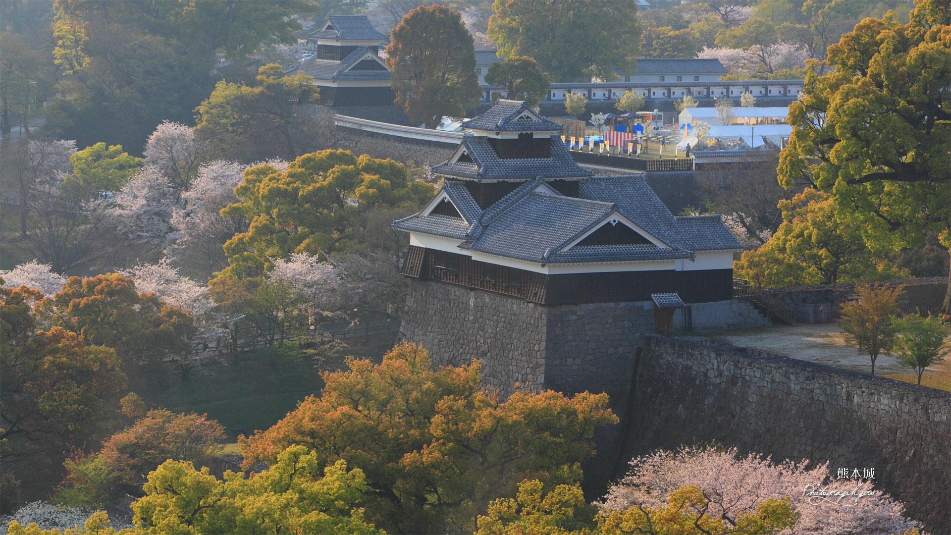 熊本城の桜 市役所からの飯田丸五階櫓