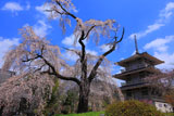 宮崎県