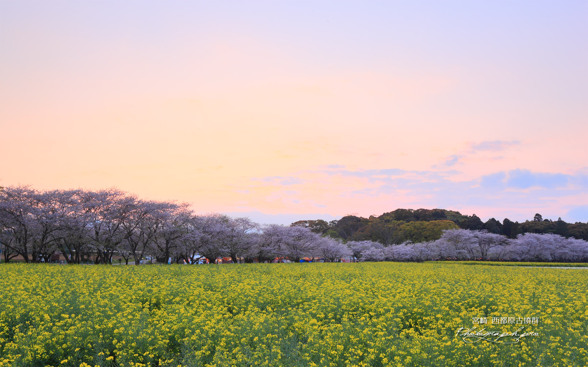 夕焼けの西都原公園
