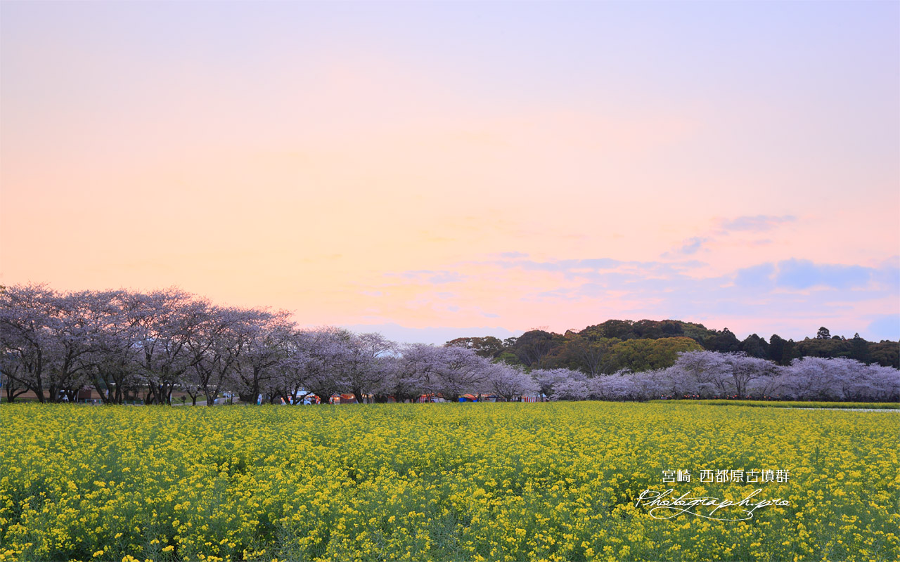 夕焼けの西都原公園 壁紙
