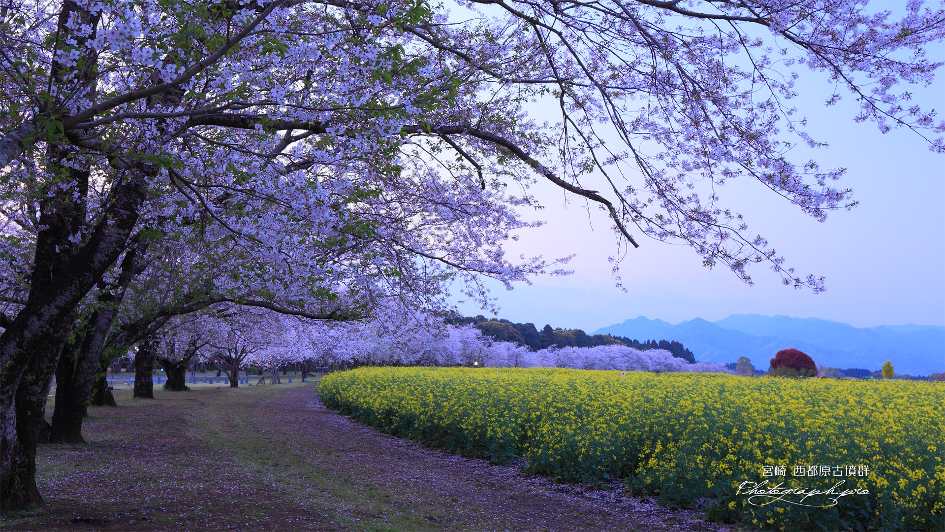 日が暮れた西都原古墳群