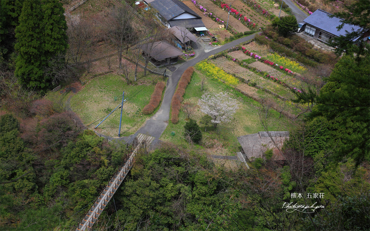 五家荘 樅木の吊橋 壁紙