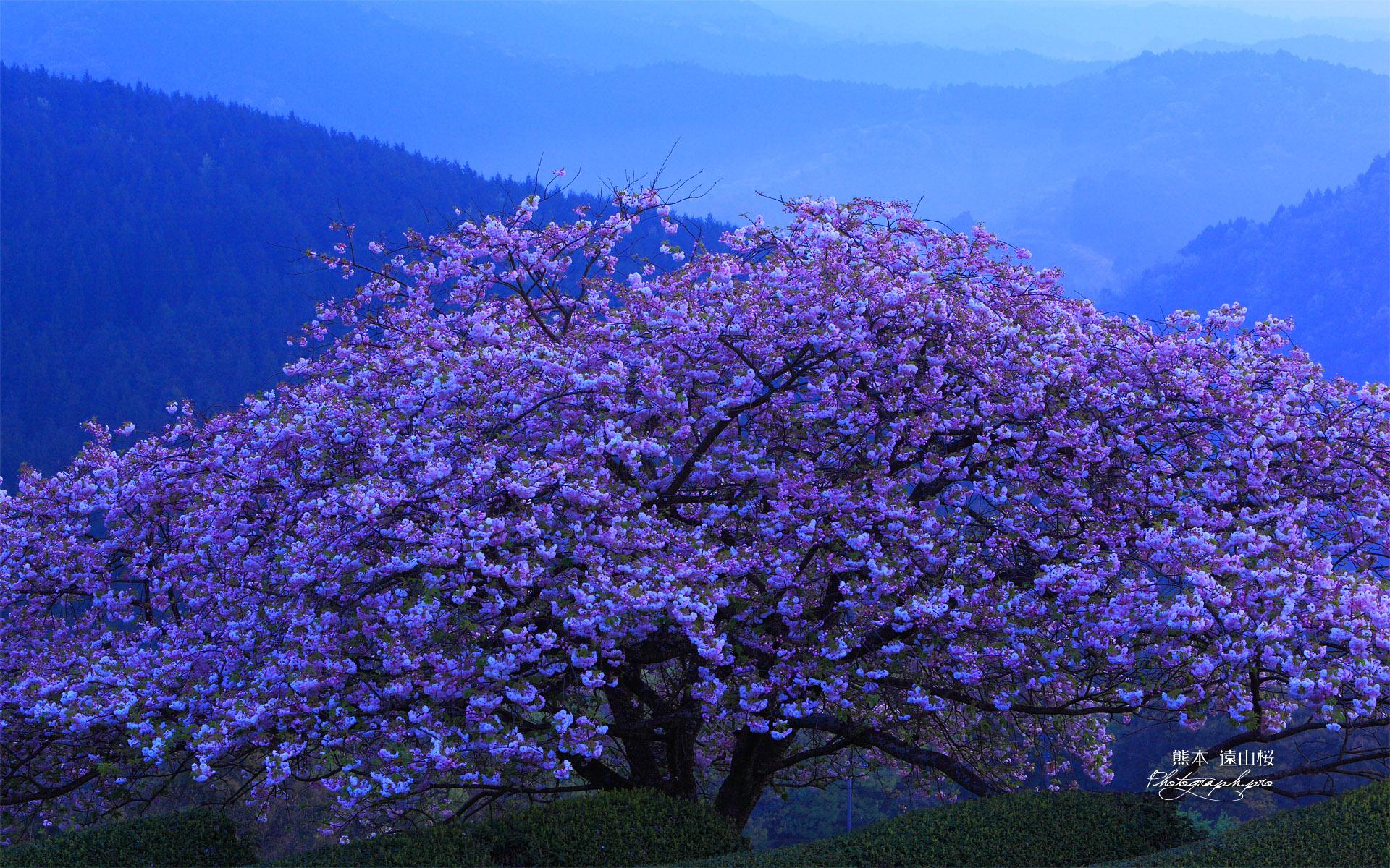 青い山脈