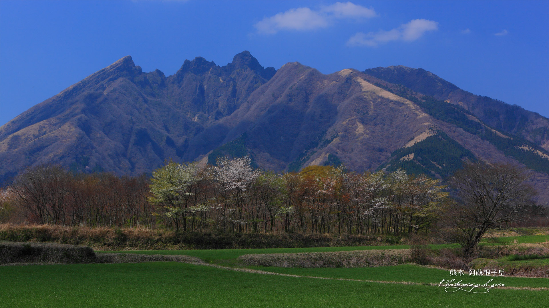 牧草地と阿蘇根子岳