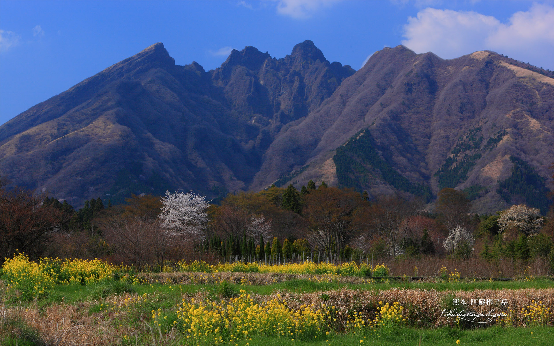 休耕地と阿蘇根子岳
