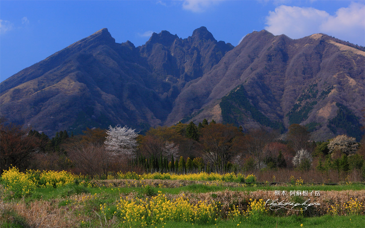 休耕地と阿蘇根子岳 壁紙