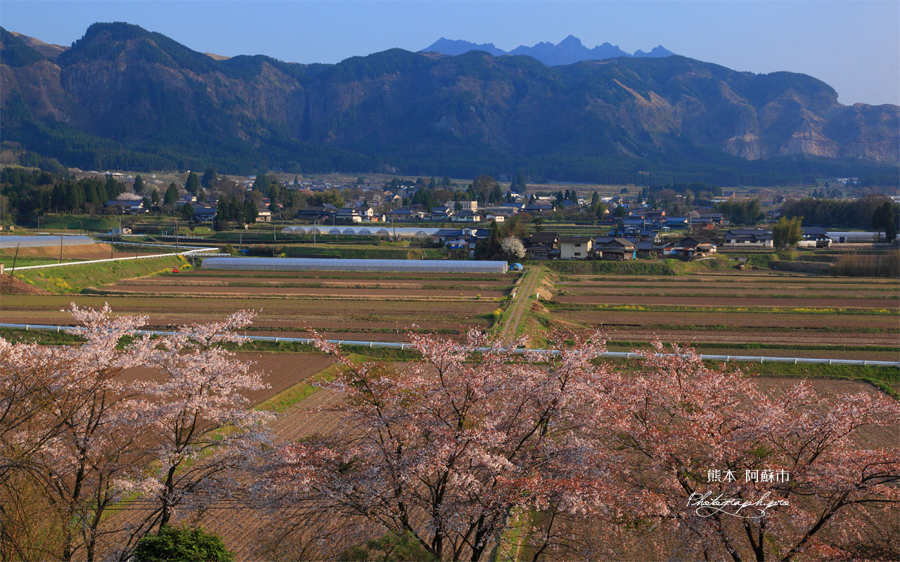 阿蘇市一の宮 壁紙
