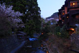 黒川温泉の山桜と旅館ふじ屋