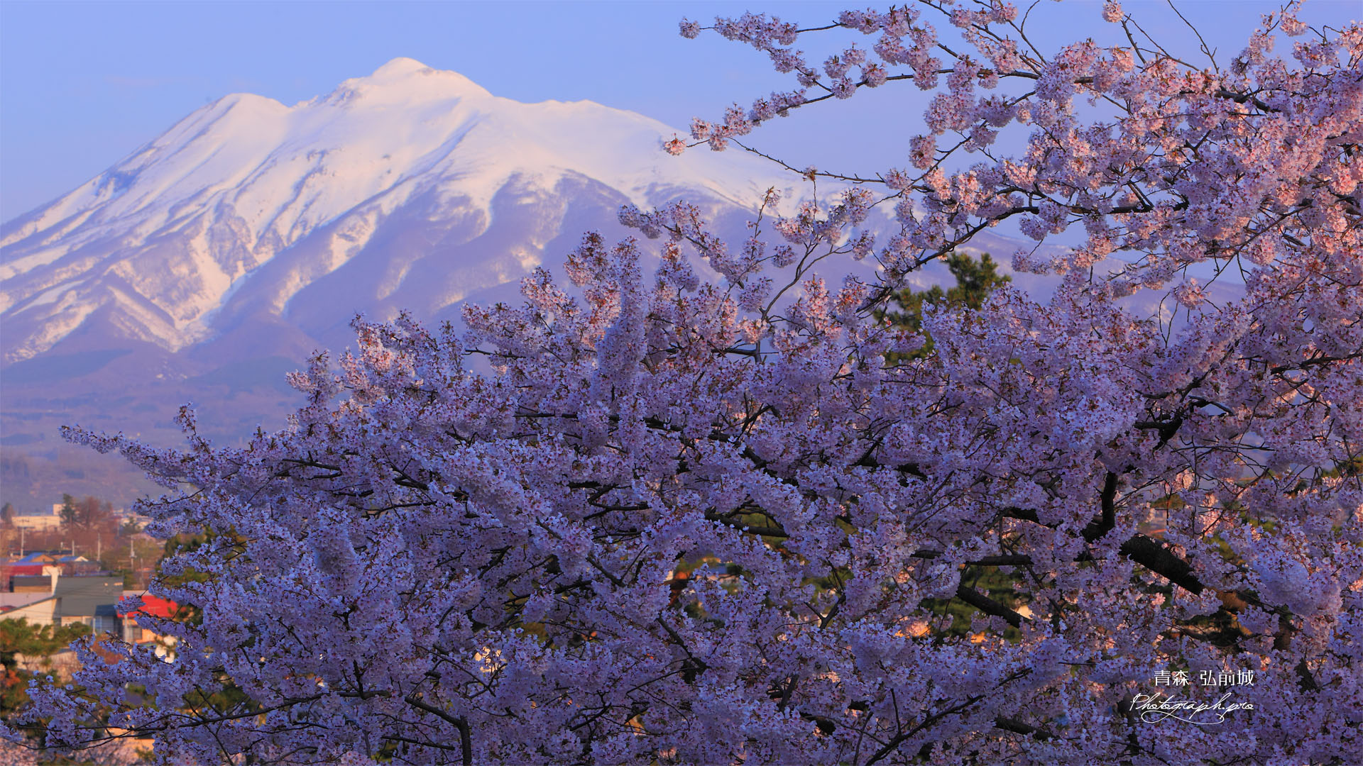 弘前城からの岩木山 の壁紙 19x1080