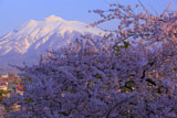 弘前城からの岩木山