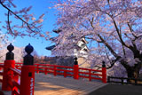 弘前城 桜と下乗橋