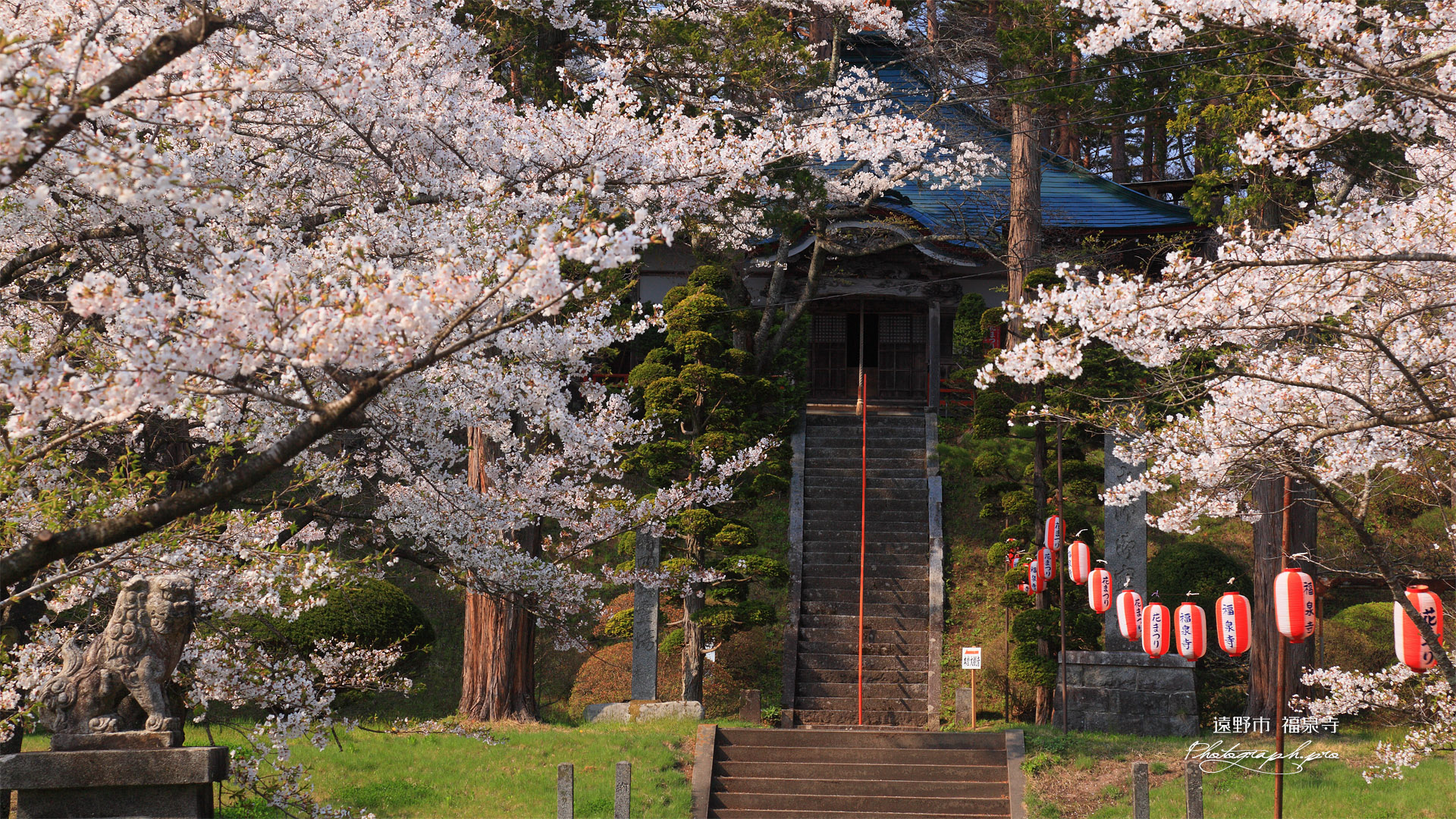遠野市 福泉寺本堂