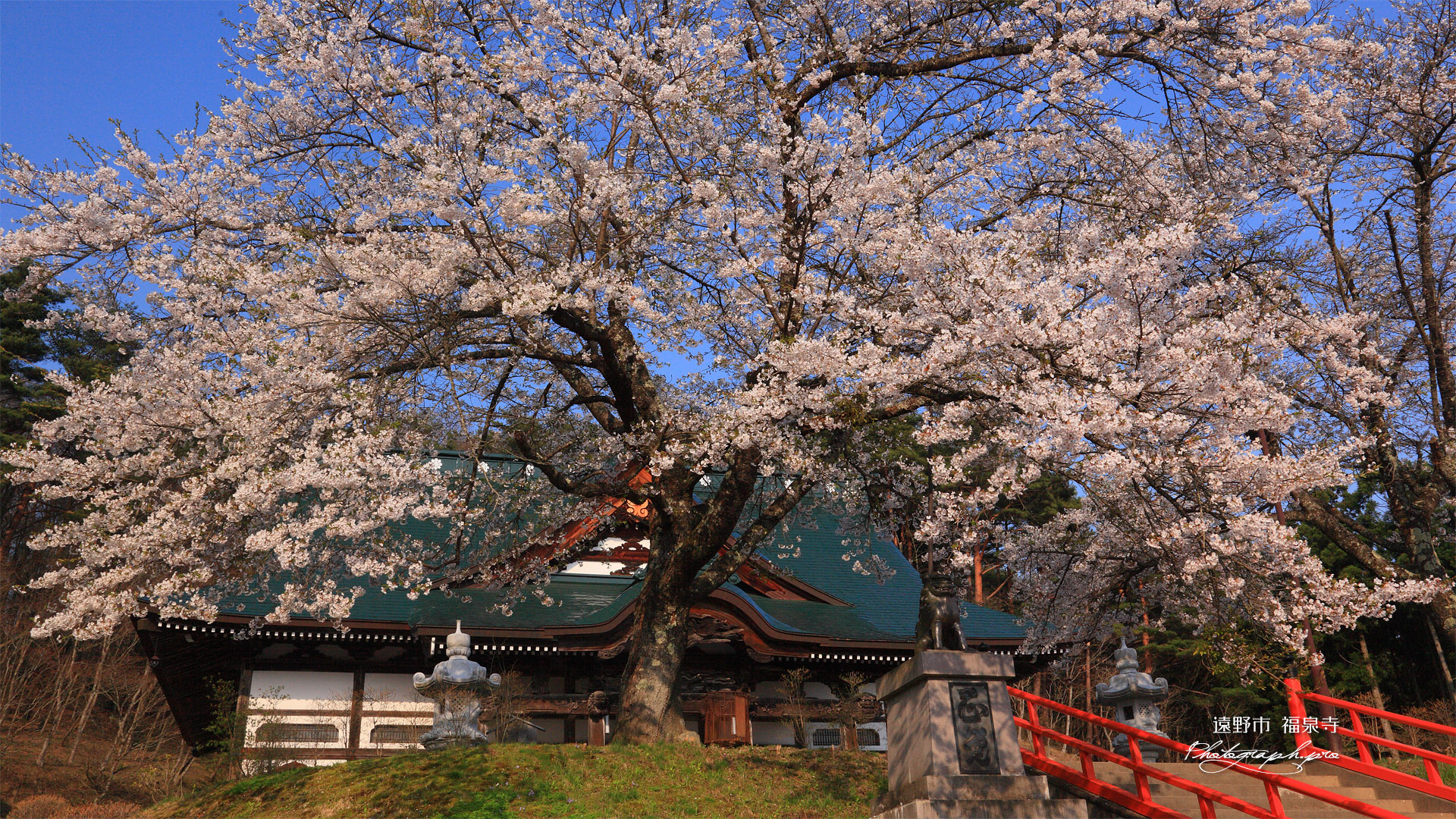 遠野市 福泉寺観音堂