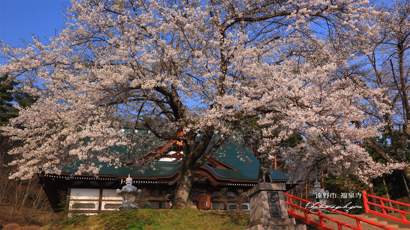 遠野市 福泉寺観音堂 壁紙