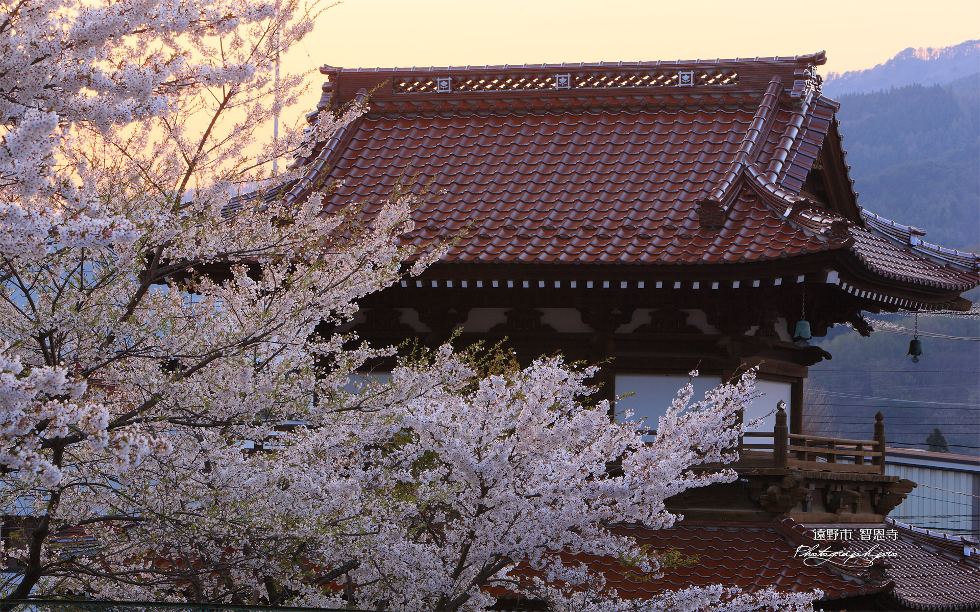 遠野市 智恩寺の楼門