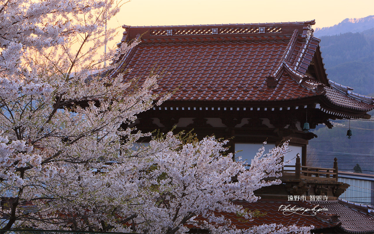 遠野市 智恩寺の楼門 壁紙