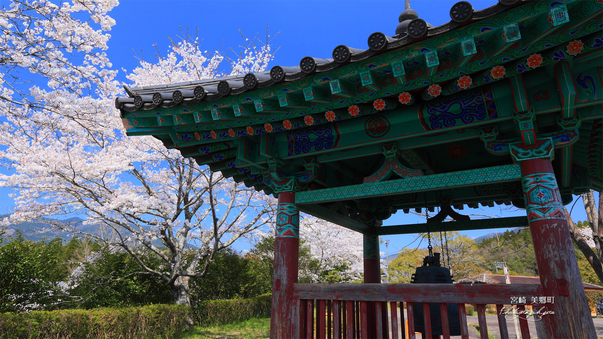 宮崎美郷町 恋人の丘の桜