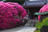 安養院
