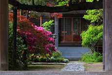 教恩寺