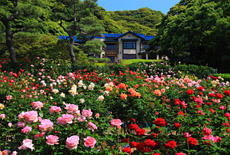 鎌倉文学館