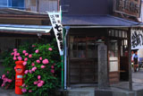 鎌倉御霊神社 力餅家の紫陽花