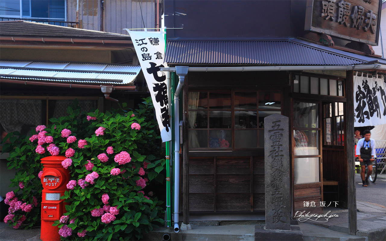 鎌倉御霊神社 力餅家のアジサイ 壁紙