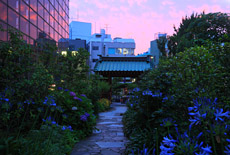 大巧寺