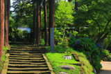 建長寺天源院参道と紫陽花