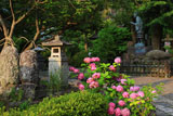 光触寺 アジサイと一遍上人像