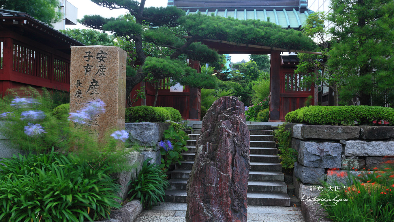 鎌倉大巧寺 山門 壁紙