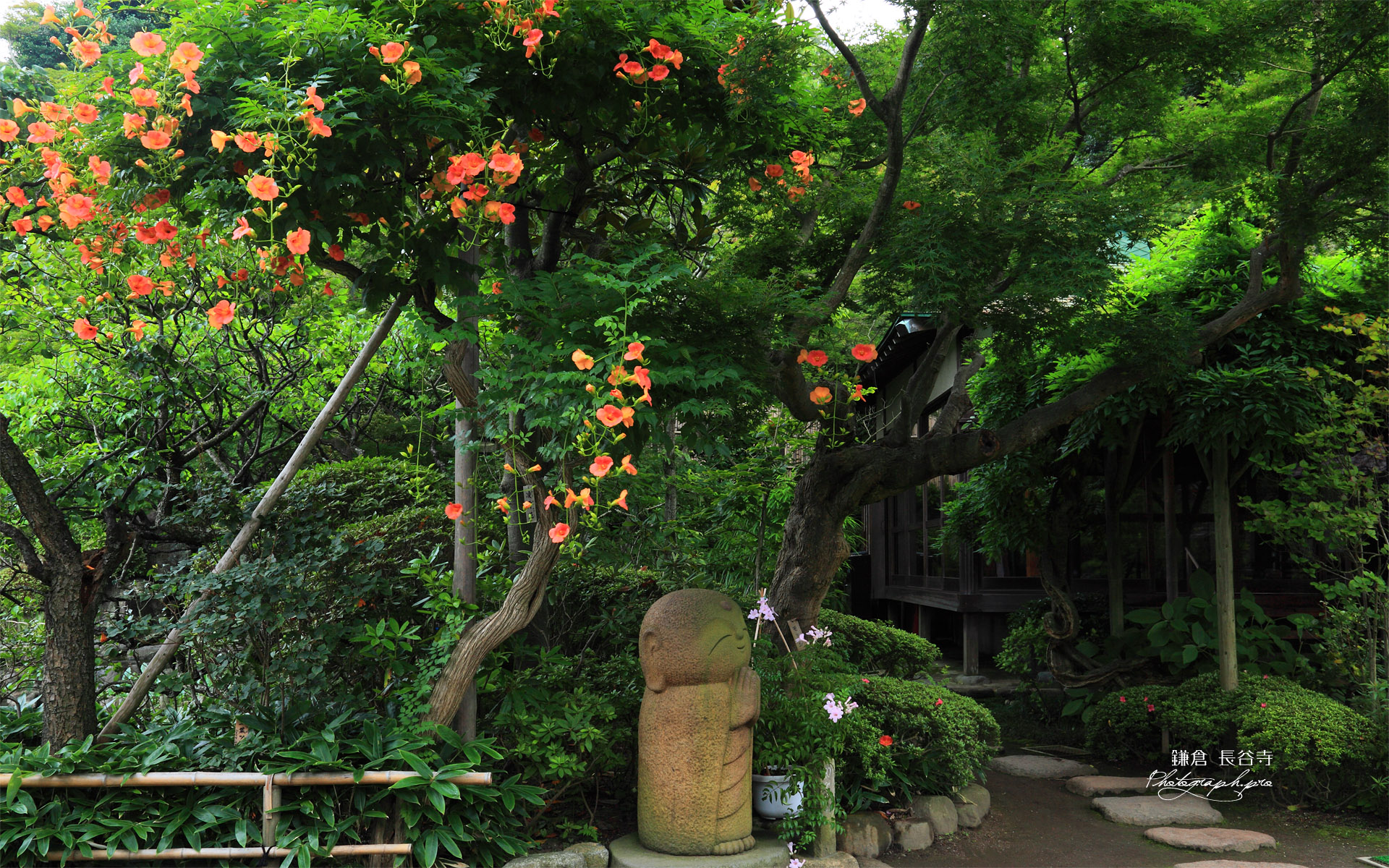 鎌倉長谷寺の和み地蔵とノウゼンカズラ