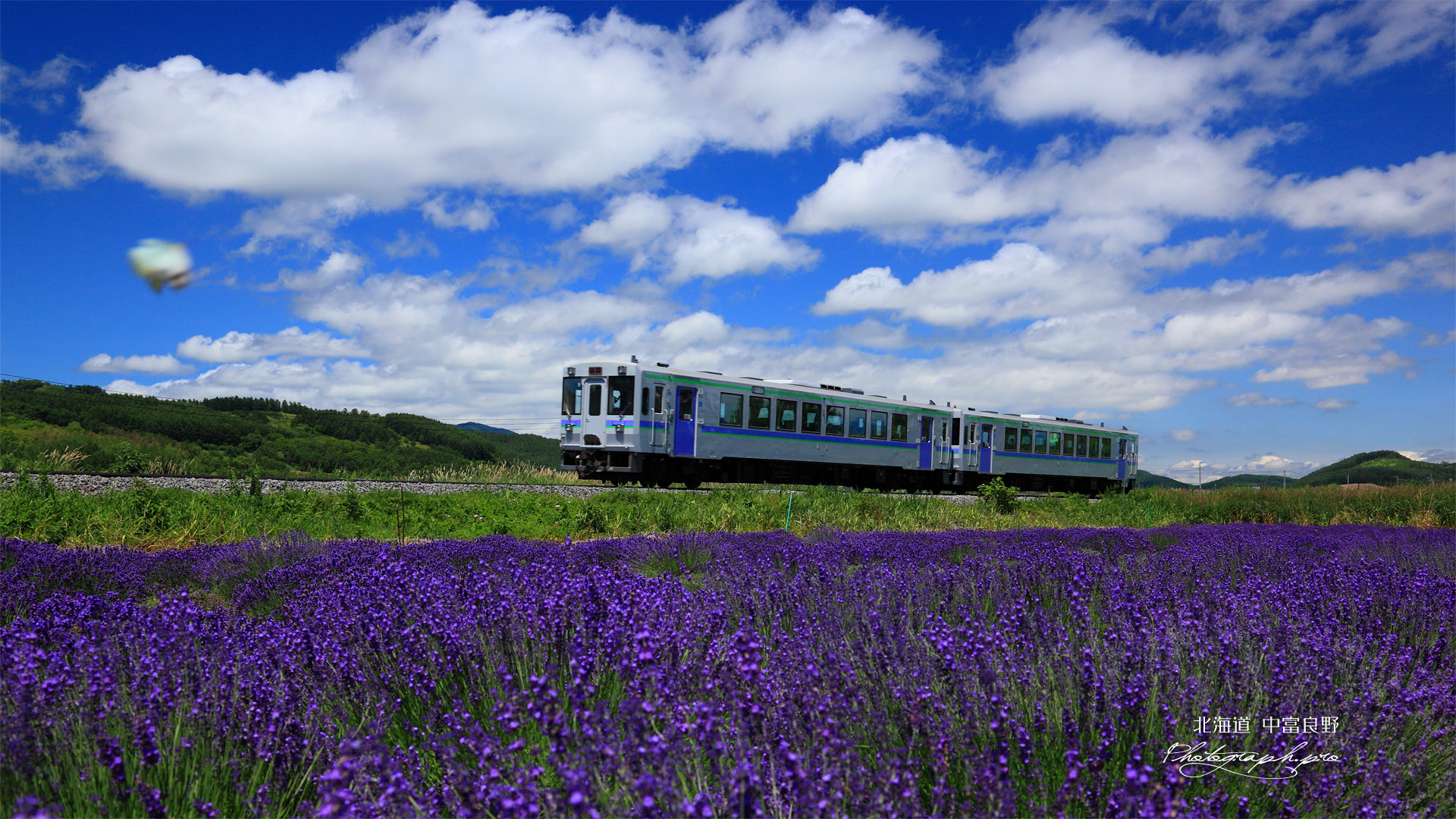 ラベンダー咲く富良野線 の壁紙 19x1080